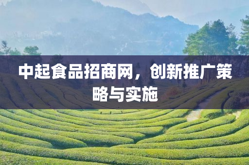 中起食品招商网，创新推广策略与实施