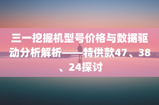 三一挖掘机型号价格与数据驱动分析解析——特供款47、38、24探讨