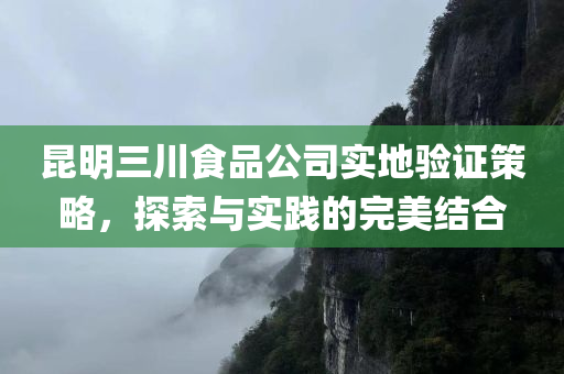 昆明三川食品公司实地验证策略，探索与实践的完美结合