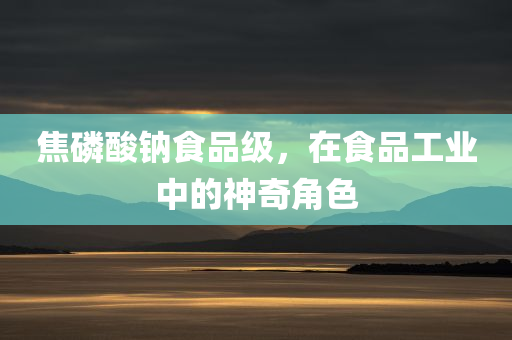 焦磷酸钠食品级，在食品工业中的神奇角色