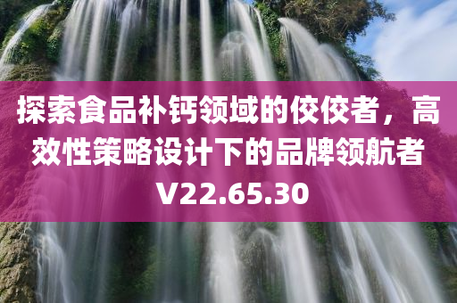 探索食品补钙领域的佼佼者，高效性策略设计下的品牌领航者 V22.65.30