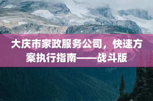 大庆市家政服务公司，快速方案执行指南——战斗版