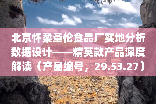 北京怀柔圣伦食品厂实地分析数据设计——精英款产品深度解读（产品编号，29.53.27）