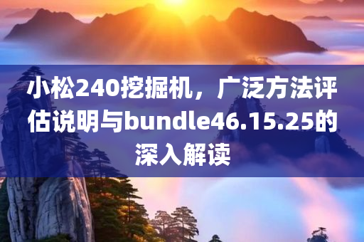 小松240挖掘机，广泛方法评估说明与bundle46.15.25的深入解读