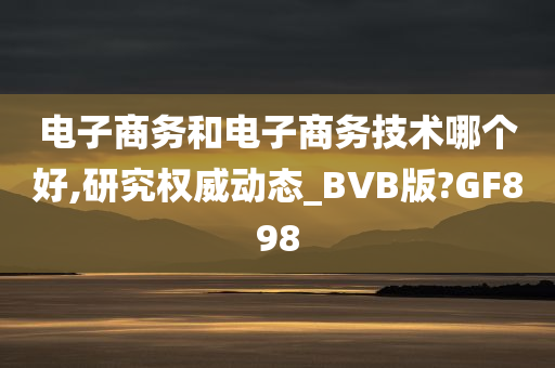 电子商务和电子商务技术哪个好,研究权威动态_BVB版?GF898