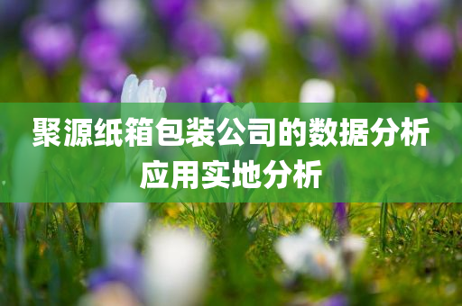 聚源纸箱包装公司的数据分析应用实地分析