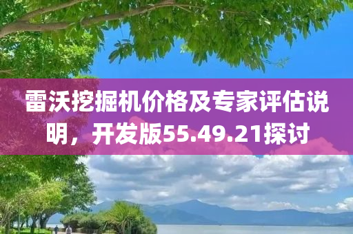 雷沃挖掘机价格及专家评估说明，开发版55.49.21探讨