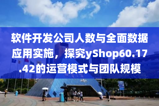 软件开发公司人数与全面数据应用实施，探究yShop60.17.42的运营模式与团队规模