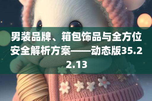 男装品牌、箱包饰品与全方位安全解析方案——动态版35.22.13