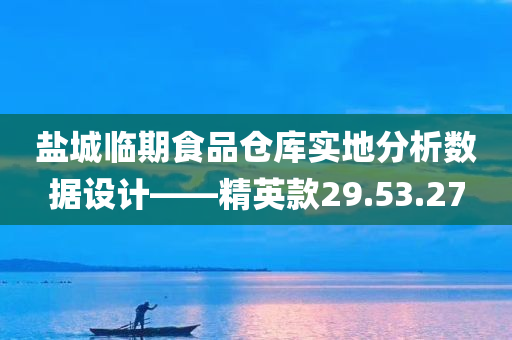 盐城临期食品仓库实地分析数据设计——精英款29.53.27