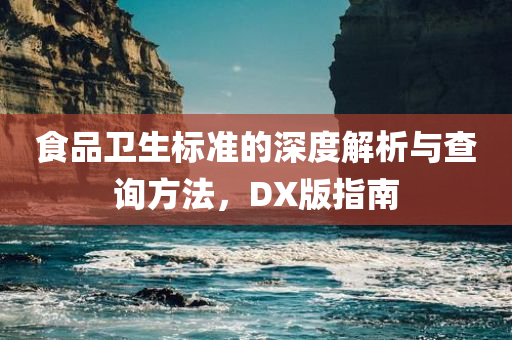 食品卫生标准的深度解析与查询方法，DX版指南