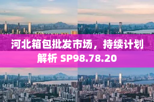 河北箱包批发市场，持续计划解析 SP98.78.20