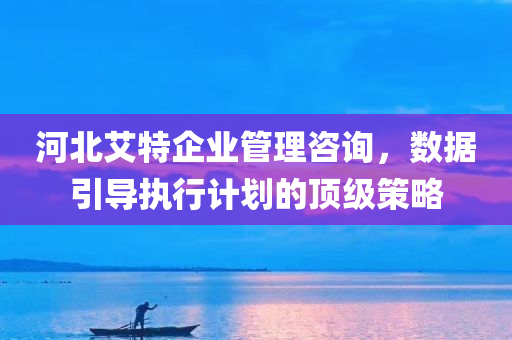 河北艾特企业管理咨询，数据引导执行计划的顶级策略