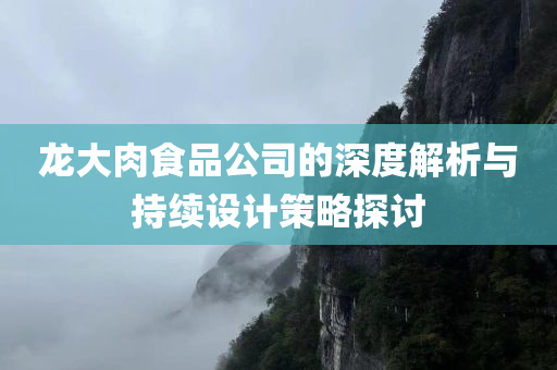 龙大肉食品公司的深度解析与持续设计策略探讨