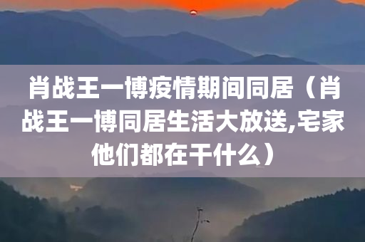 肖战王一博疫情期间同居（肖战王一博同居生活大放送,宅家他们都在干什么）