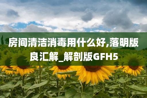 房间清洁消毒用什么好,落明版良汇解_解剖版GFH5