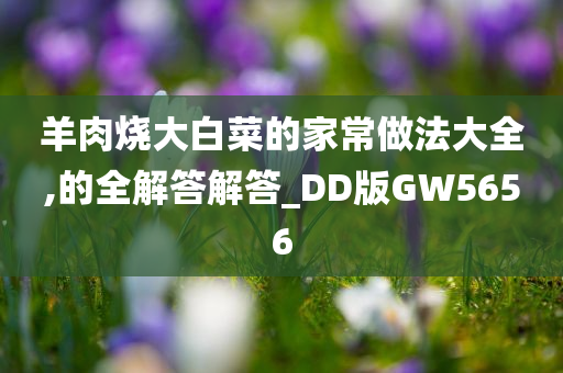 羊肉烧大白菜的家常做法大全,的全解答解答_DD版GW5656