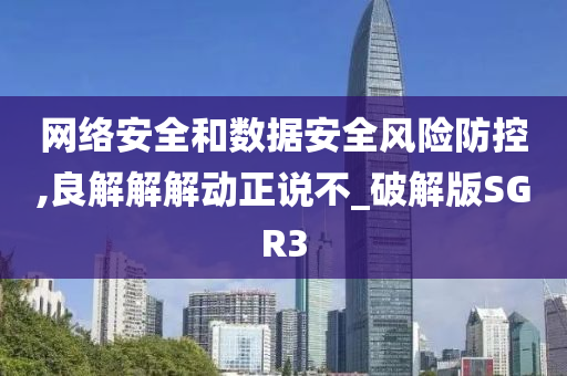 网络安全和数据安全风险防控,良解解解动正说不_破解版SGR3