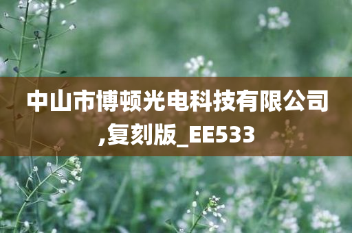 中山市博顿光电科技有限公司,复刻版_EE533