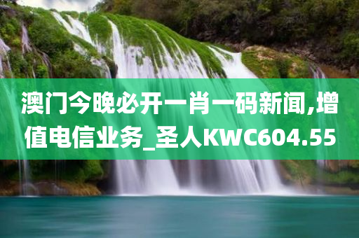 澳门今晚必开一肖一码新闻,增值电信业务_圣人KWC604.55