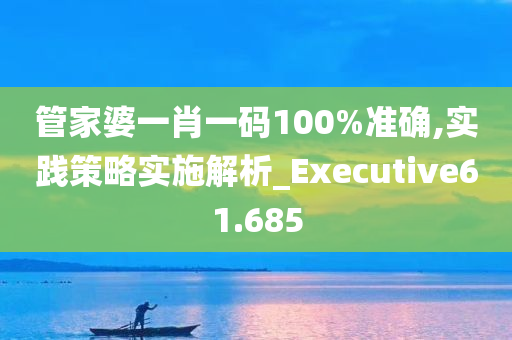 管家婆一肖一码100%准确,实践策略实施解析_Executive61.685