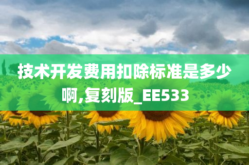 技术开发费用扣除标准是多少啊,复刻版_EE533