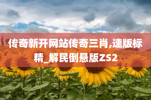 传奇新开网站传奇三肖,速版标精_解民倒悬版ZS2