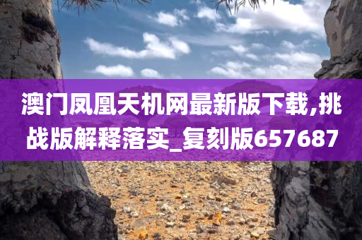 澳门凤凰天机网最新版下载,挑战版解释落实_复刻版657687