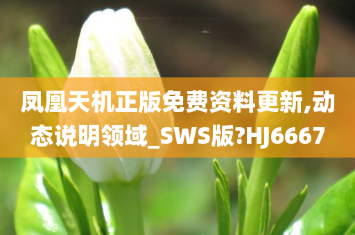 凤凰天机正版免费资料更新,动态说明领域_SWS版?HJ6667