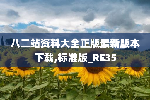 八二站资料大全正版最新版本下载,标准版_RE35