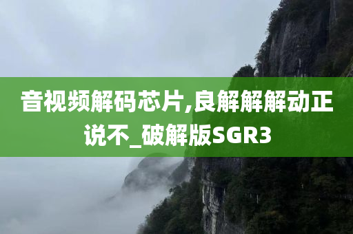 音视频解码芯片,良解解解动正说不_破解版SGR3