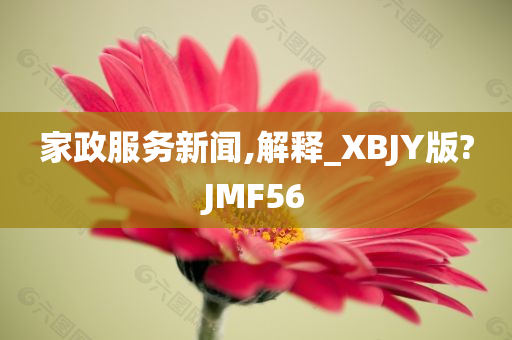 家政服务新闻,解释_XBJY版?JMF56