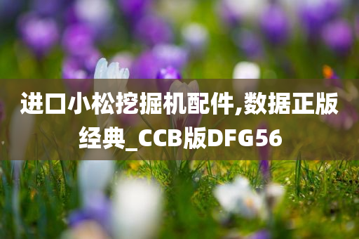 进口小松挖掘机配件,数据正版经典_CCB版DFG56