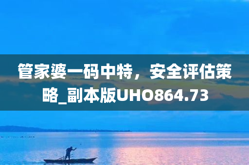 管家婆一码中特，安全评估策略_副本版UHO864.73