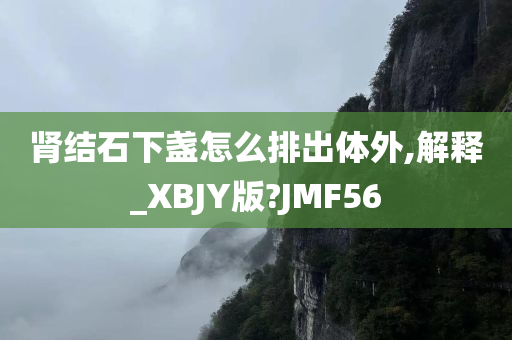 肾结石下盏怎么排出体外,解释_XBJY版?JMF56