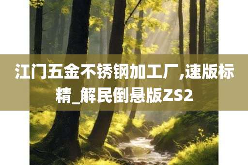 江门五金不锈钢加工厂,速版标精_解民倒悬版ZS2