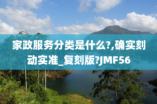 家政服务分类是什么?,确实刻动实准_复刻版?JMF56