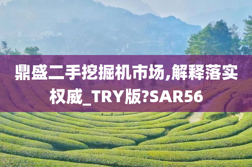 鼎盛二手挖掘机市场,解释落实权威_TRY版?SAR56