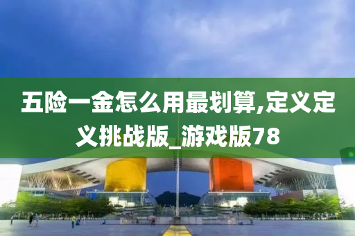 五险一金怎么用最划算,定义定义挑战版_游戏版78