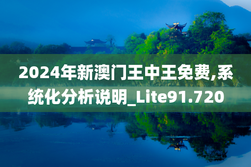 2024年新澳门王中王免费,系统化分析说明_Lite91.720