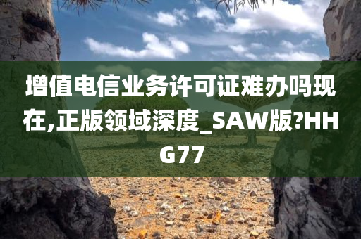 增值电信业务许可证难办吗现在,正版领域深度_SAW版?HHG77