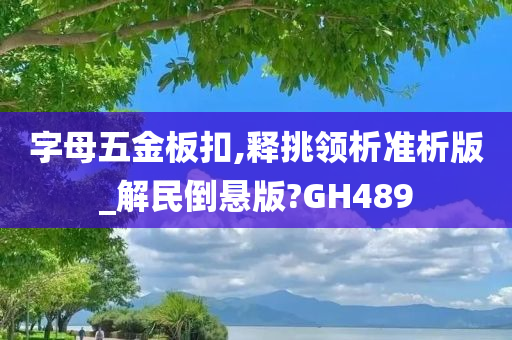 字母五金板扣,释挑领析准析版_解民倒悬版?GH489