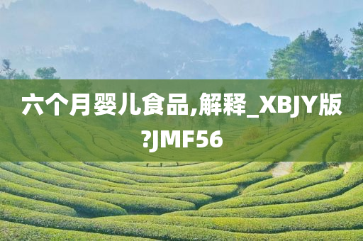 六个月婴儿食品,解释_XBJY版?JMF56