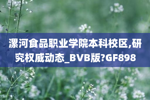 漯河食品职业学院本科校区,研究权威动态_BVB版?GF898