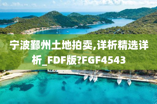 宁波鄞州土地拍卖,详析精选详析_FDF版?FGF4543