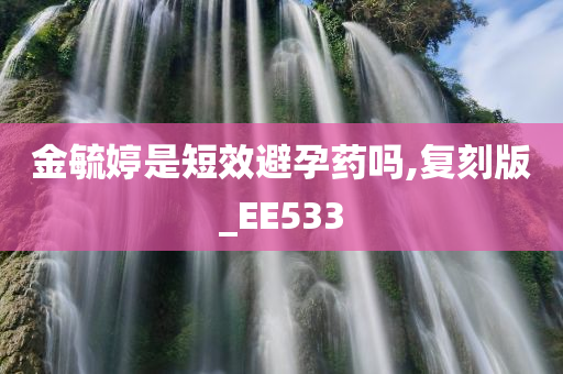 金毓婷是短效避孕药吗,复刻版_EE533