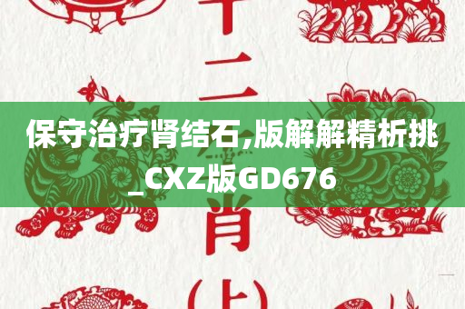 保守治疗肾结石,版解解精析挑_CXZ版GD676