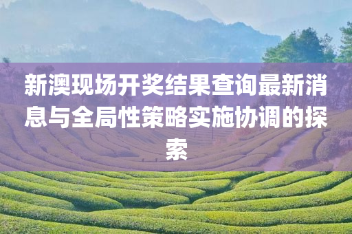 新澳现场开奖结果查询最新消息与全局性策略实施协调的探索