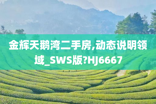 金辉天鹅湾二手房,动态说明领域_SWS版?HJ6667