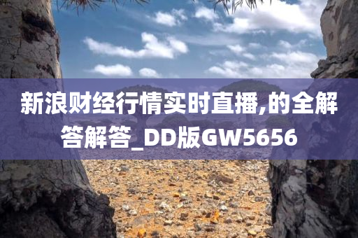 新浪财经行情实时直播,的全解答解答_DD版GW5656